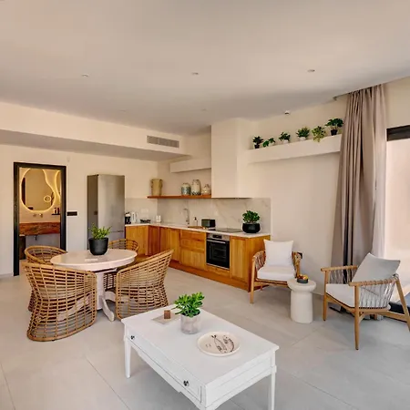 Villa Pnoe Syros Megas Gialos - Nites